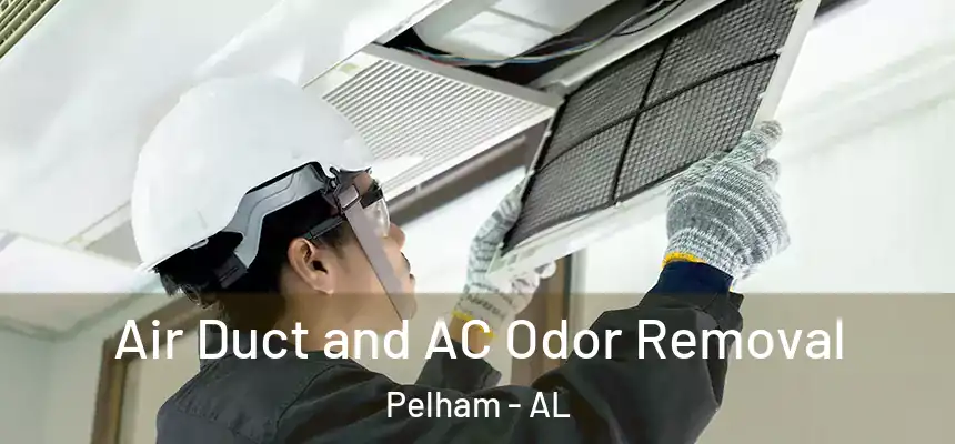  Air Duct and AC Odor Removal Pelham - AL