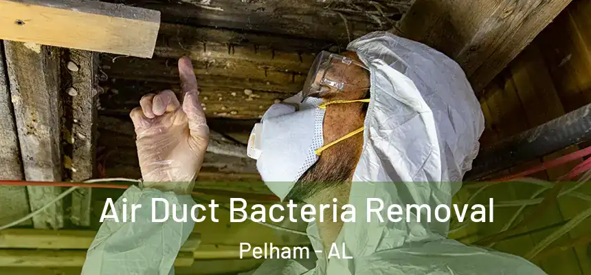 Air Duct Bacteria Removal Pelham - AL