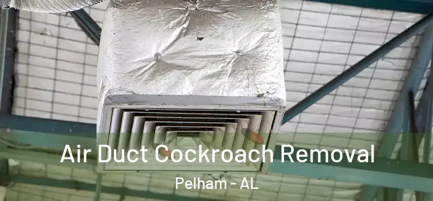  Air Duct Cockroach Removal Pelham - AL