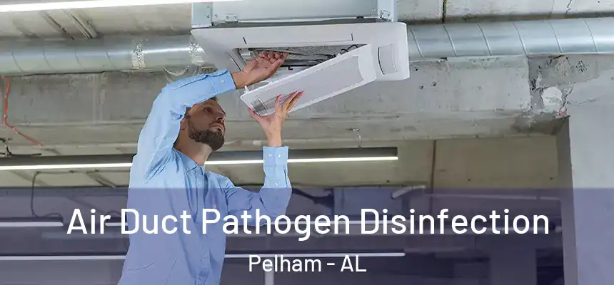 Air Duct Pathogen Disinfection Pelham - AL