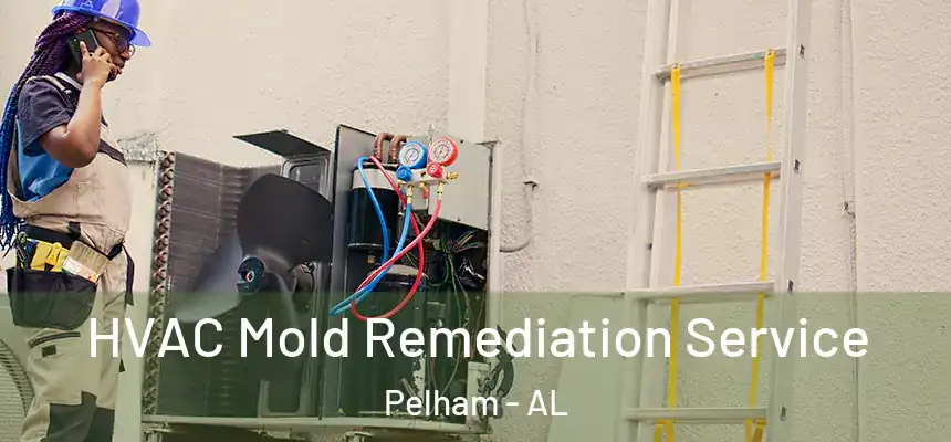  HVAC Mold Remediation Service Pelham - AL