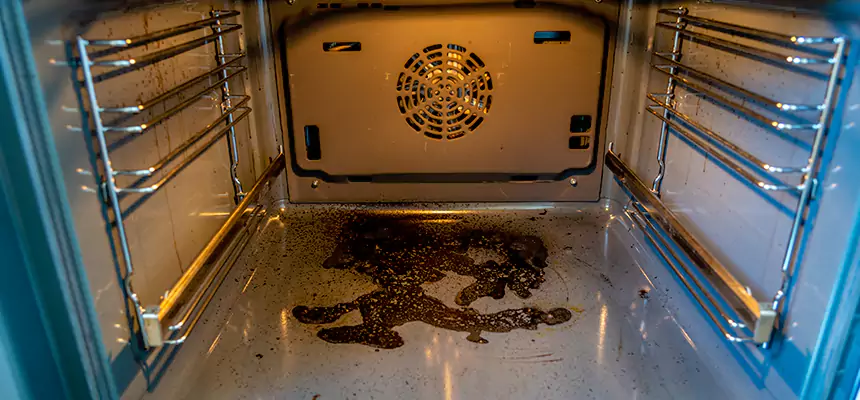 Our Dryer Vent Mold Cleaning Services in Pelham, AL