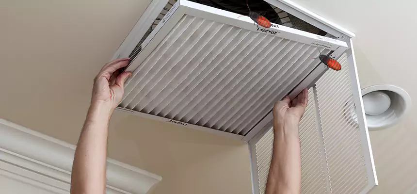 Our Insect Removal from Air Ducts Services in Pelham, AL