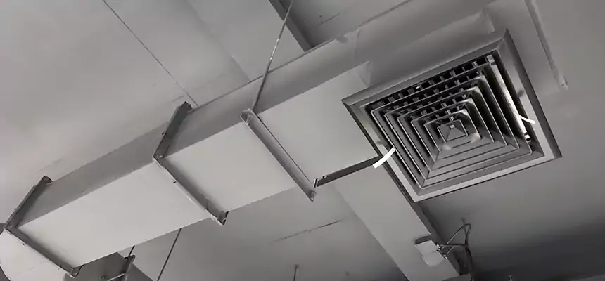 Our Pest Removal From Ducts Services in Pelham, AL