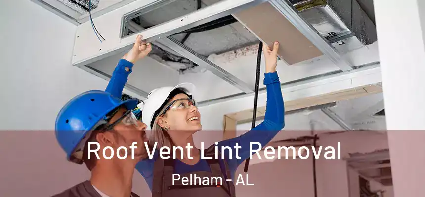 Roof Vent Lint Removal Pelham - AL
