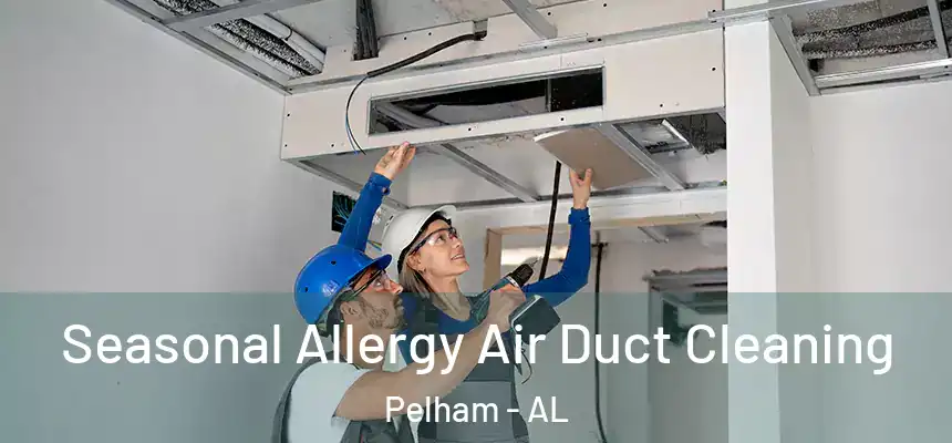 Seasonal Allergy Air Duct Cleaning Pelham - AL