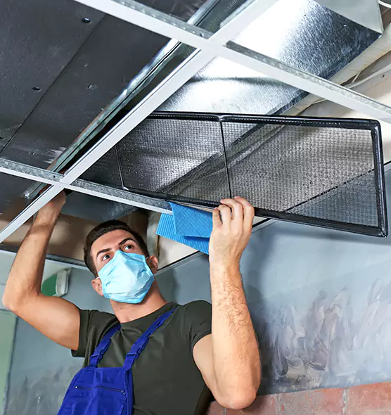 About Air Duct Bacteria Removal in Pelham