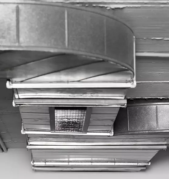 Professional Air Duct Pest Removal in Pelham, AL