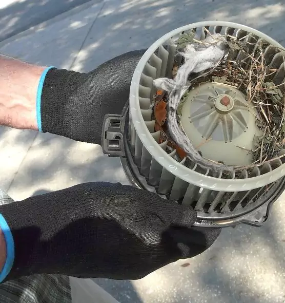 About Air Duct Rat Removal in Pelham, AL