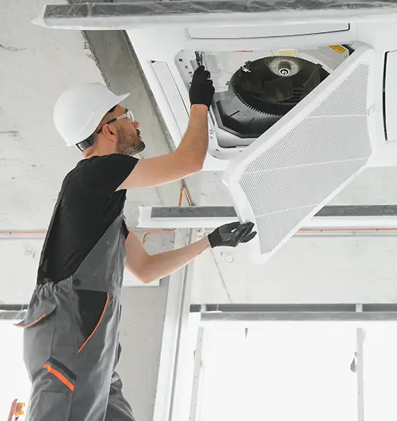 About Air Duct Rodent Removal in Pelham, AL