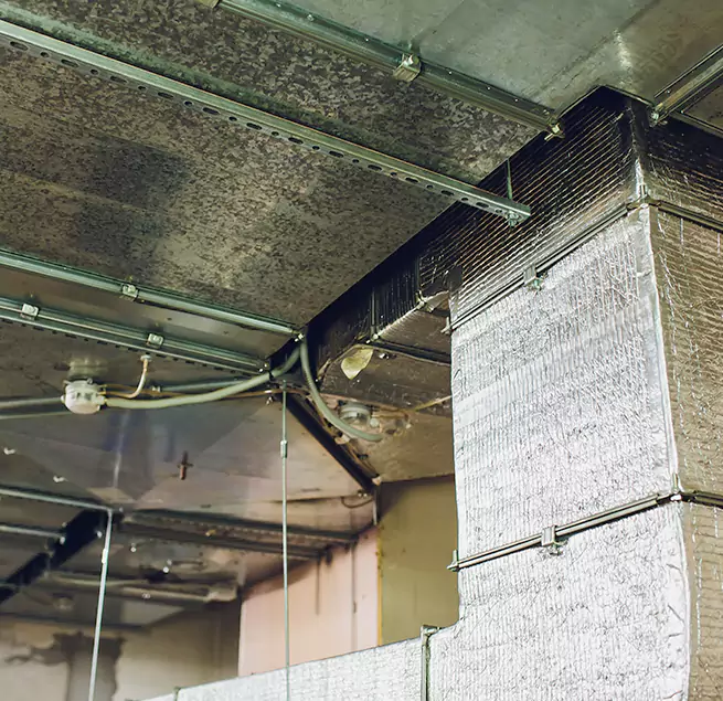 Why Homeowners & Businesses Trust Us in Pelham, AL?